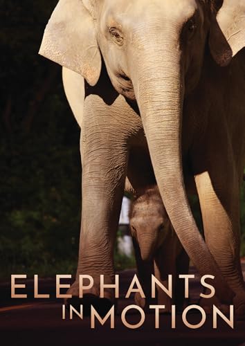 Elephants In Motion