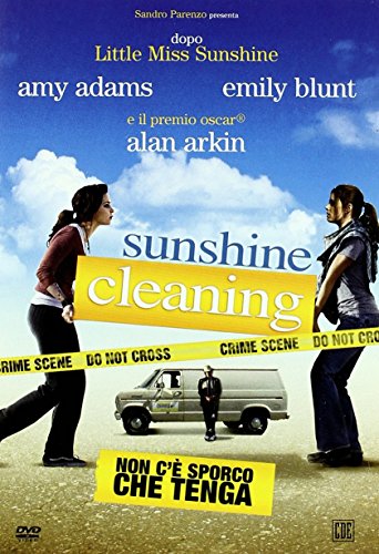 Sunshine Cleaning-Non C'E' Sporco