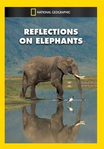 Reflections On Elephants [Edizione: Stati Uniti]
