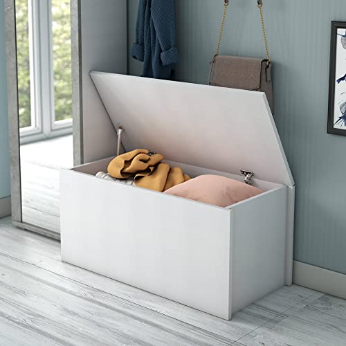 Dmora Baule Multiuso, 100% Made In Italy, Capiente Box Contenitore, Moderna Cassapanca, Cm 90X45H45, Colore Bianco