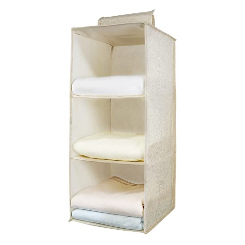 Aiqinu Organizer Armadio Da Appendere, Portatutto Da Appendere Con 3 Scomparti, Organizzatore Armadio, Lavabile Pieghevole Salvaspazio Portaoggetti Da