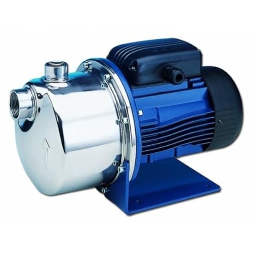 Elettropompa Centrifuga Autoadescante Lowara Bgm11/C Kw 1.1-Hp 1,5