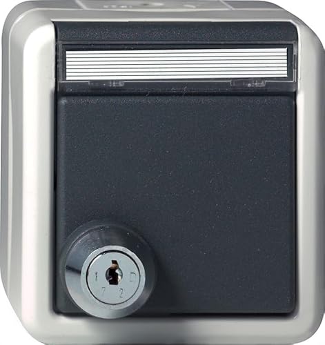 Gira 456730 - Presa Schuko 16 A 250 V ~ Con Coperchio, Serratura E Campo Per Etichettatura, Colore: Grigio