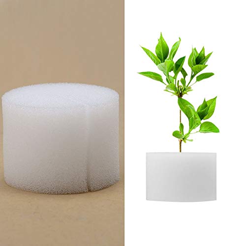 Confezione Da 50 Spugne Idroponiche, Kit Di Starter Indoor Hydroponic Forniture Spugne Per Pannocchie Per Vasetti A Rete Vaso Di Erbe Coltivazione Di