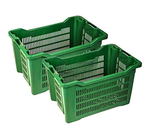 Ics Plastica 2 Cassette Agricole Impilabili Aperte Per Olive