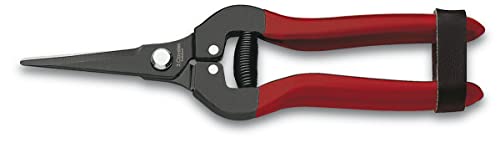 3 Claveles 1 Tijera Limpia Uvas Recta, Rojo, 19 Cm
