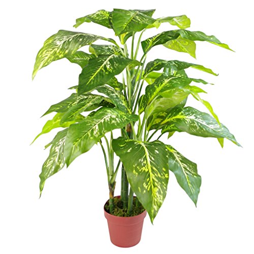 Leaf Pianta Artificiale Aglaonema Di Volpe Grande, 100 Cm, Colore Verde