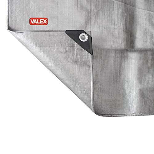 Telo Con Occhielli Rinforzato 220Gr/Mq 6X10 Metri Valex