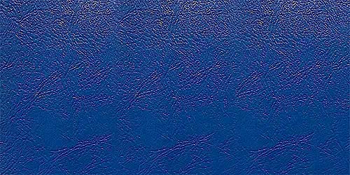 Ecopelle Finta Pelle Nautica Vendita Al Metro Lineare (100Cmx140Cm) (Blu)