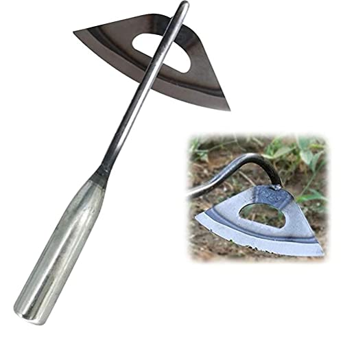Czsmart Zappa Cava In Acciaio Inox, Zappe Da Giardino, Attrezzi Da Giardino, Attrezzi Per Erbacce, Diserbo Rastrello Piante Ortaggi Giardino Casa Agri