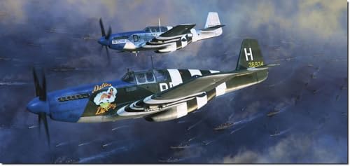 Eduard - Overlord D-Day Mustangs P-51B Mustang 1/48 - Eduard 11181