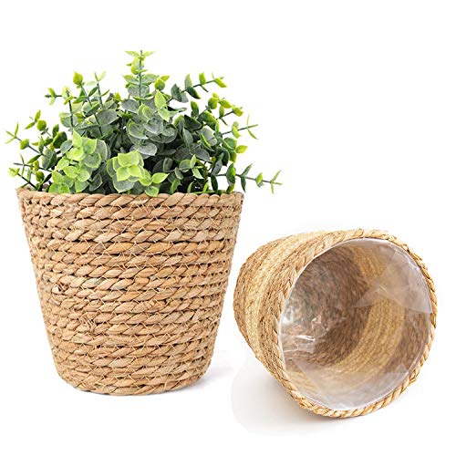 7Wunderbar 7Knt Straw Flower Basket, Acrylic