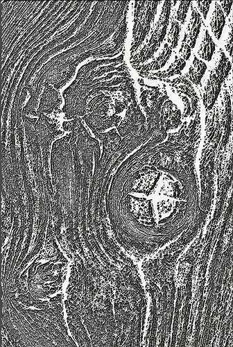 Cartella Per Goffratura 3D Texture Fades Woodgrain Di Tim Holtz