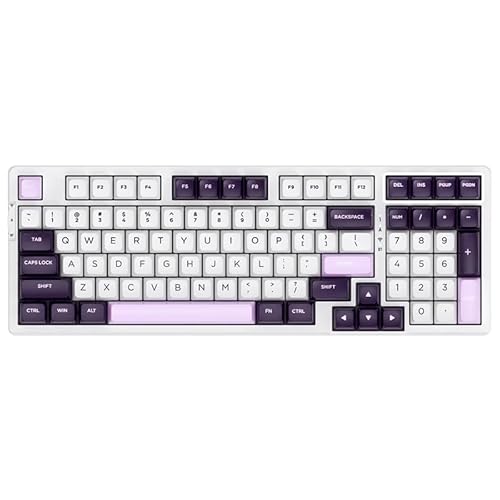 Vgn V98Pro V2 Gaming Tastatur, Box Ice Cream Pro - Blackcurrant (Us)