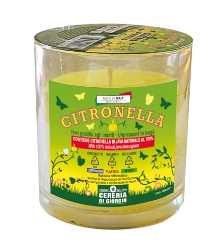 Citronella In Bicchiere Vetro