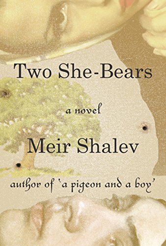 Two She-Bears: A Novel (English Edition)