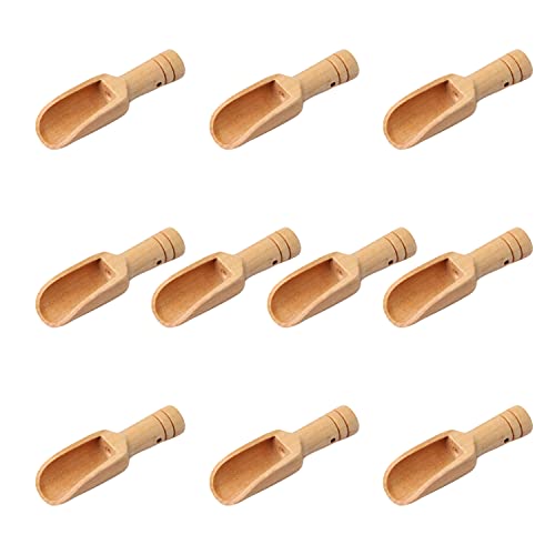 10 Pezzi Mini Cucchiai Di Legno, Cucchiai Di Sale, Cucchiai Da Tè In Legno, Cucchiai Da Bagno, Mini Cucchiaini Di Bambù, Sale Da Bagno, Mini Cucchiain