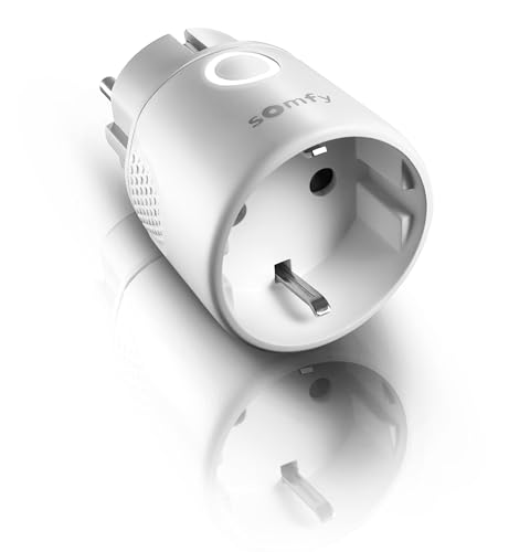 Somfy 1822618 - Connettore Radio Plug Io On/Off, Compatibile Con Tahoma, Funzionamento Di 230 V, Dispositivi E Lampade Tramite App O Telecomando