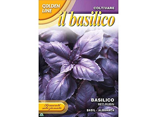 Sementi Di Basilico Viola Red Rubin Viola Orto Semi Seeds Giardino