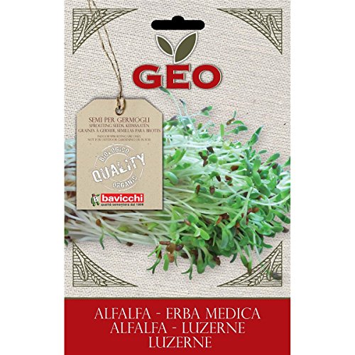 Geo Zer0203 Erba Medica Semi Da Germoglio, Marrone