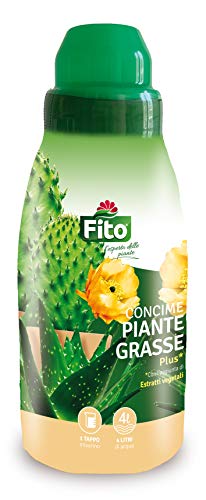 Fito 8006933066313 Concime Piante Grasse, Verde