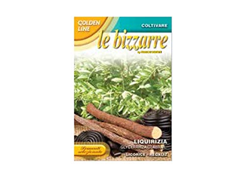Bustina Con Semi Seeds Di Liquirizia Glabra Officinali Orto Giardino