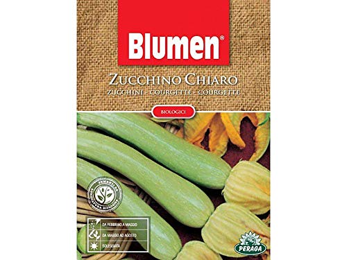 Sementi Di Zucchino Chiaro Biologici Orto Giardino Semi Seeds Blumen