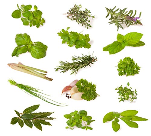 Miscela Di Erbe (Erbe Culinarie) - 14 Tipi - ~1600 ++ Semi - Ordinati Per Tipo -