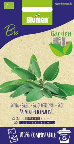 Semi Di Salvia Bio Greenpack Blumen