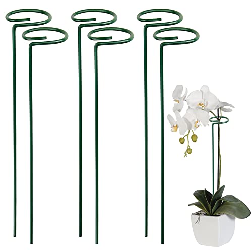Yeerum Supporti Per Piante, Supporto Per Piante In Metallo Verde, Plant Stakes Garden Single Stem Support Anello, Possono Supportare Efficacemente Una
