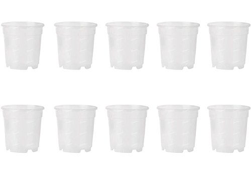 10 Vasi Per Orchidee Ø17Cm Completamente Trasparenti Promo