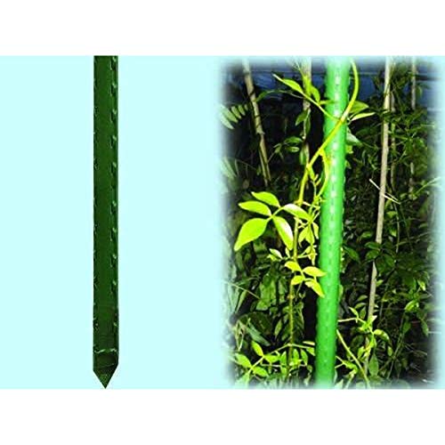 Brixo Tutori Per Piante H90 Cm In Acciaio (Conf. Da 25 Pz.)