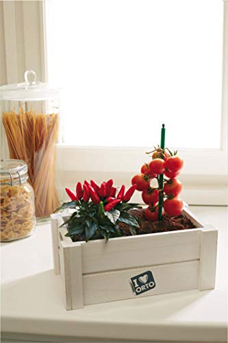Kit Coltivazione Easyorto Di Verdemax - Peperoncino E Pomodorino