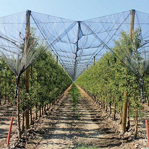 Verdemax 6767 Rete Di Protezione Contro La Grandine, 2 X 20 M