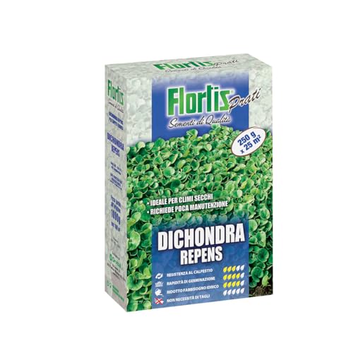 Flortis Dichondra Repens. Semi Per Prato Resistenti Alla Siccità. Dichondra Repens Semi Per Climi Secchi. Tappeto Erboso A Bassa Manutenzione Senza To