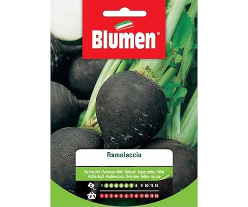 Semi Ramolaccio Blumen Sementi Orto