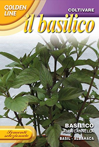 Semi Di Basilico Alla Cannella Franchi Sementi