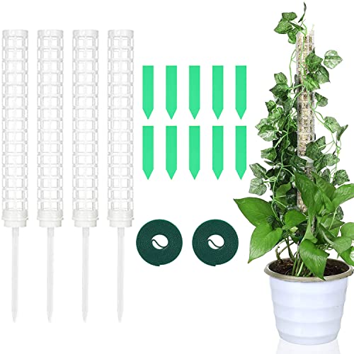 Darenyi 4Pcs Moss Pole Plastica Totem Moss Poles Per Piante Rampicanti Moss Pole Per Piante Rampicanti Supporto Piante Indoor Per Crescere Verso L'Alt