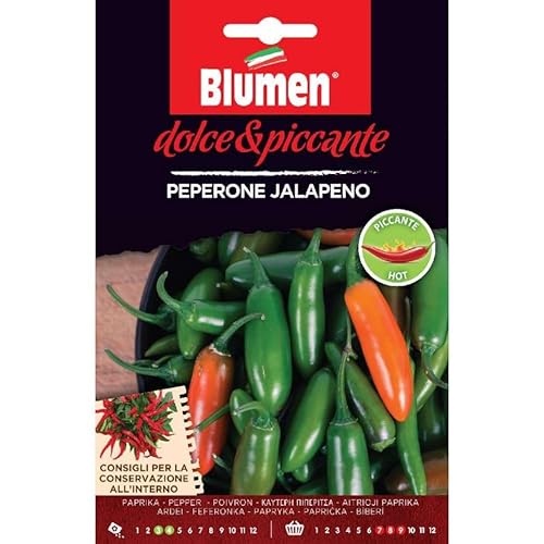 Semi Di Peperone Jalapeno Piccante Peperoncino Blumen