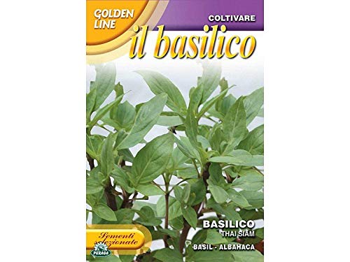 Sementi Di Basilico Thai Siam Orto Giardino Semi Seeds
