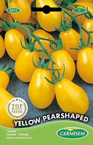 Germisem Yellow Pearshaped Semi Di Pomodoro 0.5 G