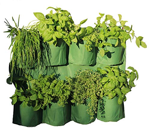 Haxnicks Planter300101 - Fioriera Da Giardino Verticale Per Erbe Aromatiche, Per Uso Interno O Esterno, Giardino, Balcone, Terrazza, Verde, Larghezza