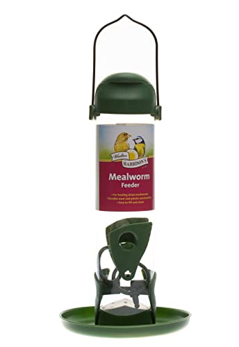 Walter Harrison'S Wild Bird Flip Top Green Hanging Mealworm Feeder - Large - 30 Cm