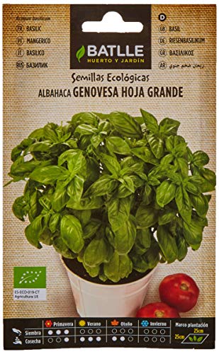 Semi Bio - Foglie Grandi Di Basilico Genovese (1050 Semi - Biologico)