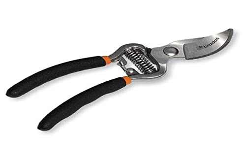 Bradas Kt-Rg1008 Professionale – Forbici Da Giardino, Nero, 21 X 5 X 2 Cm