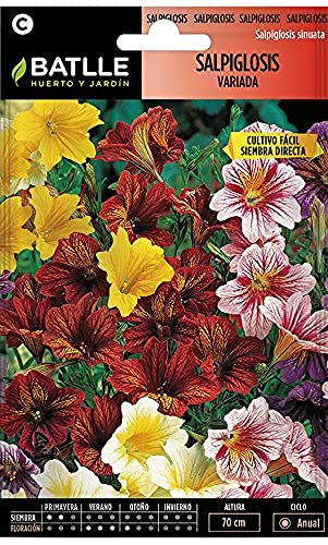 Semi Di Fiori - Salpiglosi Assortiti - Batlle