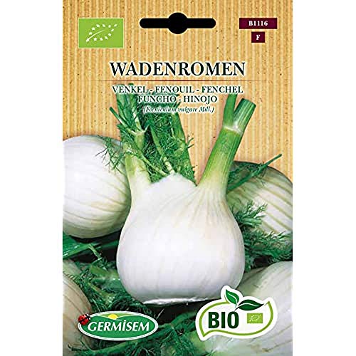 Germisem Biologico Wandenromen Semi Di Finocchio 2 G