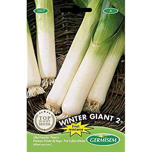 Germisem Winter Giant 2 Semi Di Porro 4 G