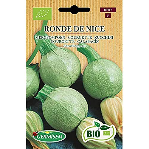 Germisem Biologico Ronde De Nice Semi Di Zucchine 4 G
