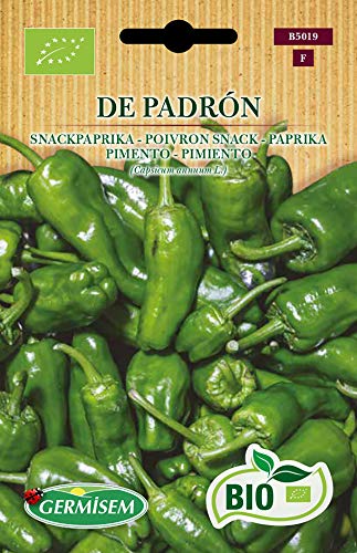 Germisem Biologico De Padron Semi Di Paprika 1 G
